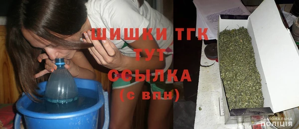 таблы Гусев