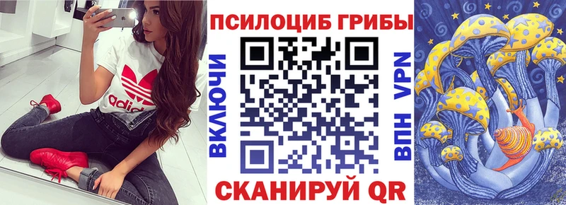 Псилоцибиновые грибы Psilocybine cubensis Майкоп