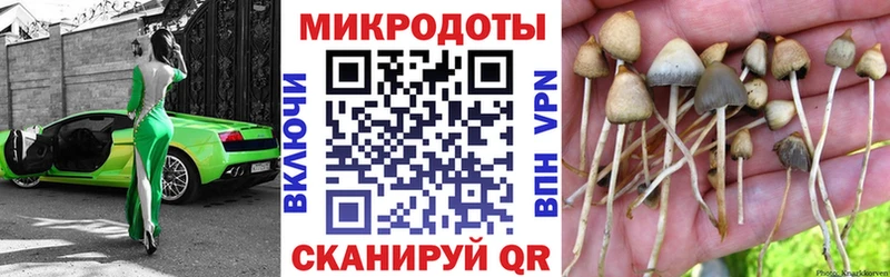 Галлюциногенные грибы мухоморы  Майкоп 